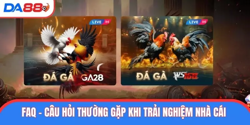 FAQ - Câu hỏi thường gặp khi trải nghiệm nhà cái 